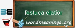 WordMeaning blackboard for festuca elatior